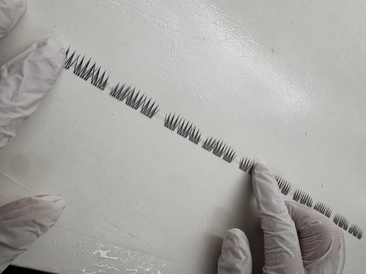 Technician in gloves hand-crafting a strip of false lashes